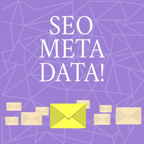 Tekst teken weergegeven: Seo Meta Data. Conceptuele foto Search Engine optimalisatie Online marketing strategie. — Stockfoto