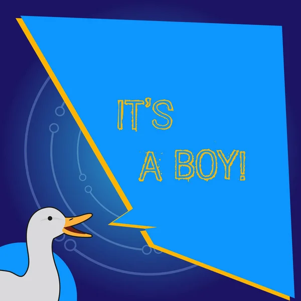 Ecriture conceptuelle montrant It S A Boy. Photo d'affaires mettant en valeur S'attendre à un bébé mâle mignon couleurs bleues beaucoup de jouets de voiture . — Photo