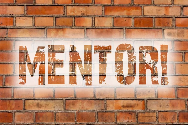 Writing note showing Mentor. Business photo showcasing Person who gives advice or support to a younger less experienced Brick Wall art like Graffiti motivational call written on the wall.