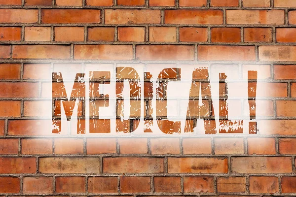 Writing note showing Medical. Business photo showcasing Related to science of Medicine Treatment for illness or injuries Brick Wall art like Graffiti motivational call written on the wall.