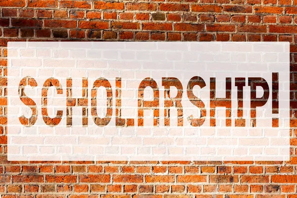 Text sign showing Scholarship. Conceptual photo Grant or Payment made to support education Academic Study Brick Wall art like Graffiti motivational call written on the wall.