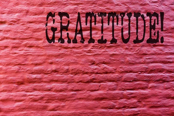 Conceptual hand writing showing Gratitude. Business photo text Quality of being thankful Appreciation Thankfulness Acknowledge Brick Wall art like Graffiti motivational call written on the wall.