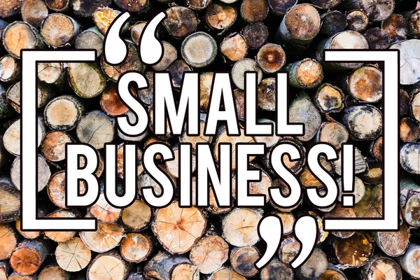 Handgeschreven tekst schrijven Small Business. Concept, wat betekent dat kleine winkel beginnen industrie ondernemer Studio winkel houten achtergrond vintage hout wilde bericht ideeën bedoelingen gedachten. — Stockfoto