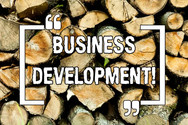 Tekst teken weergegeven: Business Development. Conceptuele foto ontwikkelen en implementeren organisatie groei mogelijkheden houten achtergrond vintage hout wilde bericht ideeën bedoelingen gedachten. — Stockfoto