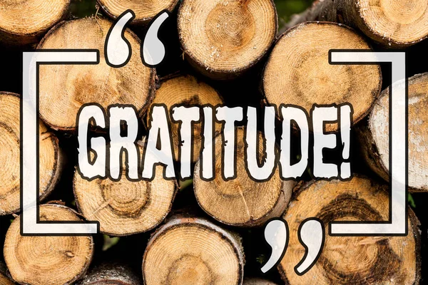 Λέξη κείμενο γράφοντας ευγνωμοσύνη. Επιχειρηματική ιδέα για την ποιότητα του είναι ευγνώμονες εκτίμηση ευγνωμοσύνη αναγνωρίζετε ξύλινο υπόβαθρο εκλεκτής ποιότητας ξύλο άγριο μήνυμα ιδέες προθέσεις σκέψεις. — Φωτογραφία Αρχείου