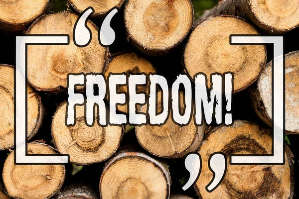 Word writing text Freedom. Business concept for Going out for a vacation, students having liberty to go world tour Wooden background vintage wood wild message ideas intentions thoughts.