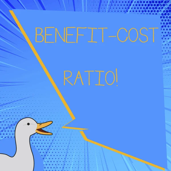 Word writing text Benefit Cost Ratio. Business concept for Relationship between the costs and benefits of project.