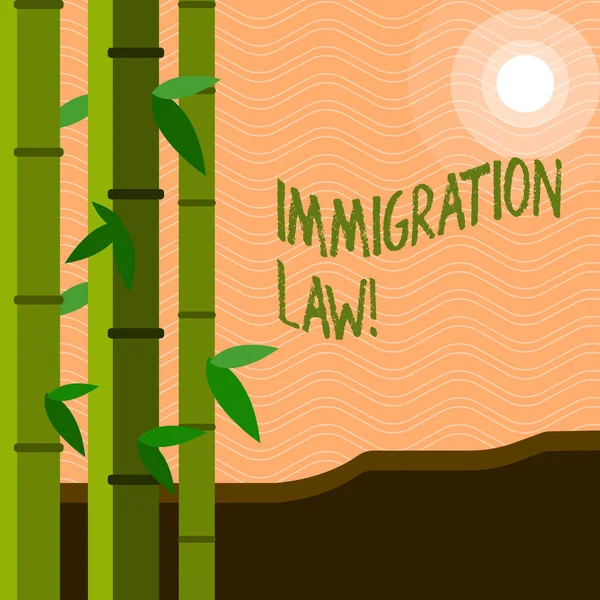 Sinal de texto mostrando Lei de Imigração. Foto conceitual Regulamentos Nacionais para Imigrantes Regras de deportação . — Fotografia de Stock