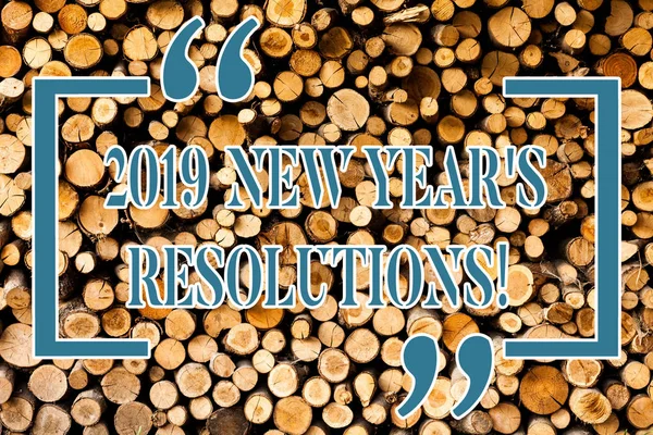 Writing note showing 2019 New Year S Resolutions. Business photo showcasing List of goals or targets to be achieved Wooden background vintage wood wild message ideas intentions thoughts.