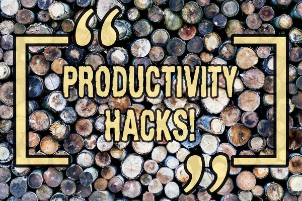 Word writing text Productivity Hacks. Business concept for Hacking Solution Method Tips Efficiency Productivity Wooden background vintage wood wild message ideas intentions thoughts.