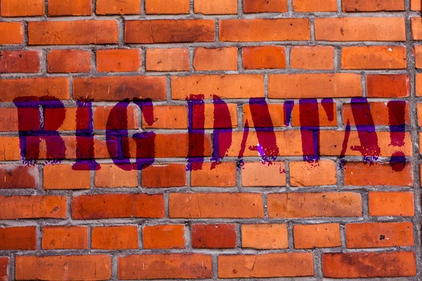 Text sign showing Big Data. Conceptual photo Large amount of information that needs to be analyzed by computers Brick Wall art like Graffiti motivational call written on the wall.