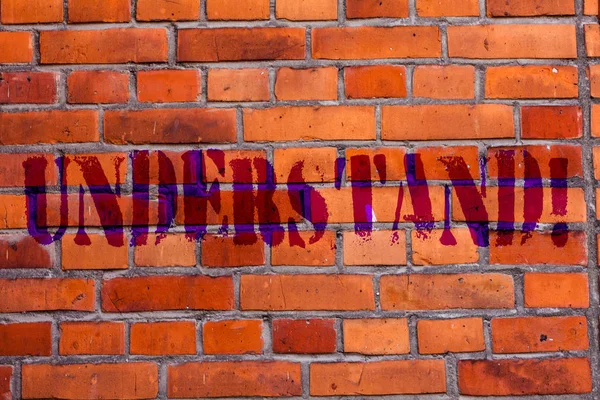Text sign showing Understand. Conceptual photo Know Perceive the meaning of something Brick Wall art like Graffiti motivational call written on the wall.
