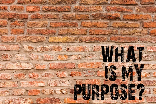 Handwriting text writing What Is My Purposequestion. Concept meaning Direction Importance Discernment Reflection Brick Wall art like Graffiti motivational call written on the wall. — Stock Photo, Image