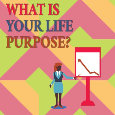 Ne olduğunu Your Life Purposequestion gösterilen metin işareti. Kavramsal fotoğraf kişisel belirlenmesi amacı hedef ulaşmak.