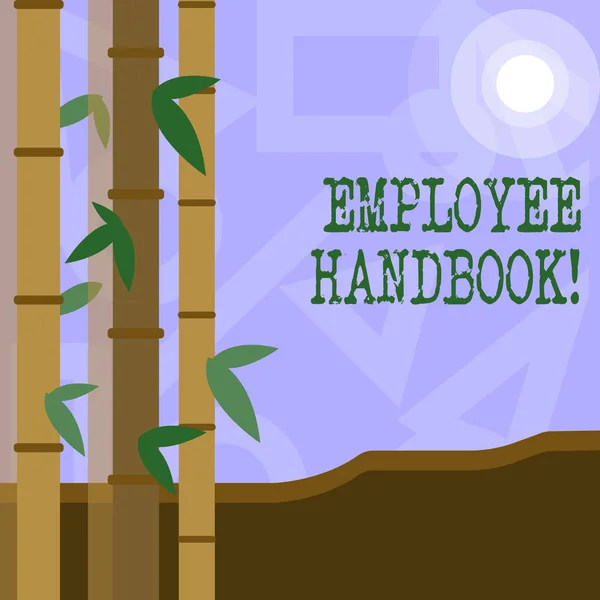 Manuscrito texto Employee Handbook. Conceito significado Documento Manual Regulamentação Regras Guia Política Código . — Fotografia de Stock