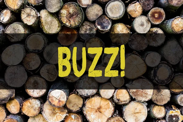 Ordet skriva text Buzz. Affärsidé för Hum blåsljud Drone Fizz Ring Sibilation svirrar larm Beep Chime trä bakgrund vintage trä vilda meddelande idéer avsikter tankar. — Stockfoto