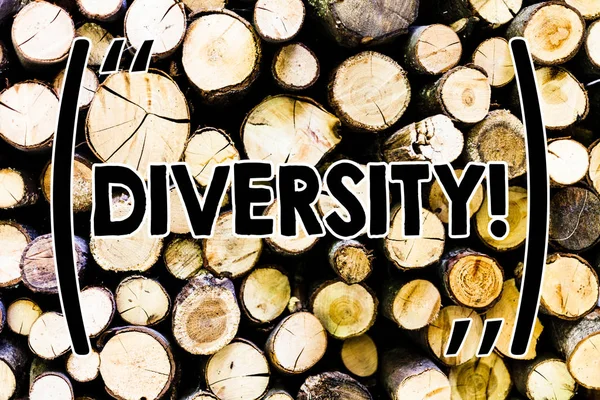 Text sign showing Diversity. Conceptual photo Being Composed of different elements Diverse Variety Multiethnic Wooden background vintage wood wild message ideas intentions thoughts.