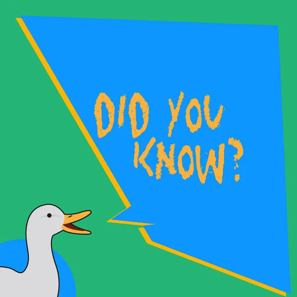 Handwriting text writing Did You Know Question. Concept meaning when you are asking someone if they know fact or event photo of Duck Speaking with Uneven Shape Blank Blue Speech Balloon.