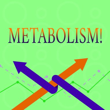 Kavramsal el metabolizma gösterilen yazma. İş fotoğraf metin iki okları bir iç içe diğer takım yukarı veya rekabet için işleme enerji gıda üretmek vücutta kimyasal işleme.