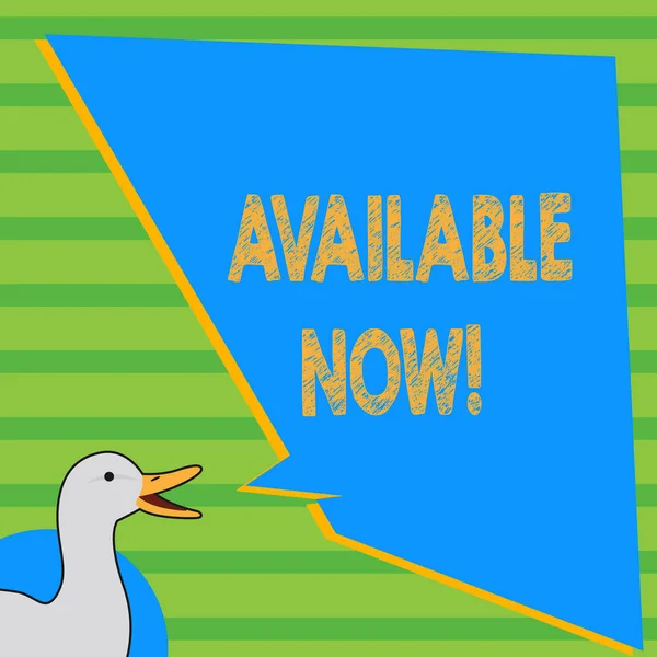 Writing note showing Available Now. Business photo showcasing you can find it obtain or operable at this current moment photo of Duck Speaking with Uneven Shape Blank Blue Speech Balloon.