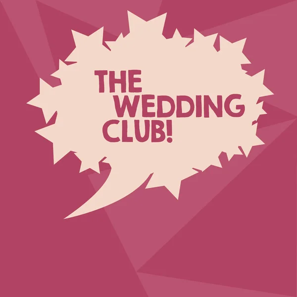 概念的な手書き結婚式クラブを示します。カップル スロー大きなパーティの取得結婚楕円形色バルーン星とアウトライン テキスト スペースとしてビジネス写真テキスト場所. — ストック写真