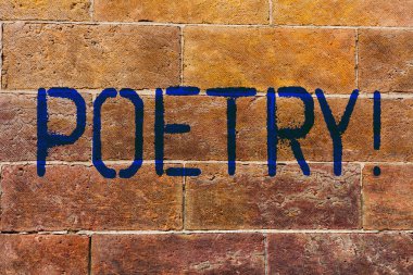 Conceptual hand writing showing Poetry. Business photo showcasing Literary work Expression of feelings ideas with rhythm Poems writing Brick Wall art like Graffiti motivational written on wall. clipart