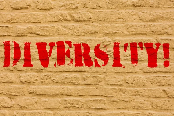 Handwriting text Diversity. Concept meaning Being Composed of different elements Diverse Variety Multiethnic Brick Wall art like Graffiti motivational call written on the wall. — Stock Photo, Image