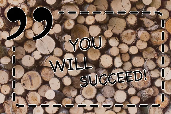 Text sign showing You Will Succeed. Conceptual photo Inspiration motivation to keep working be positive Wooden background vintage wood wild message ideas intentions thoughts.