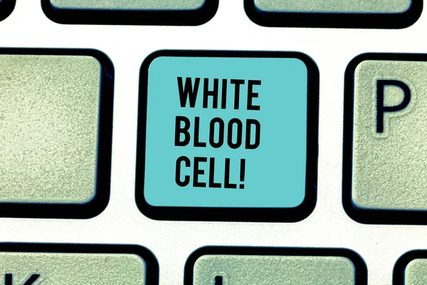 显示白细胞的概念手写。商业照片文本白细胞负责保护身体免受感染键盘键意图创建计算机消息的想法. — 图库照片