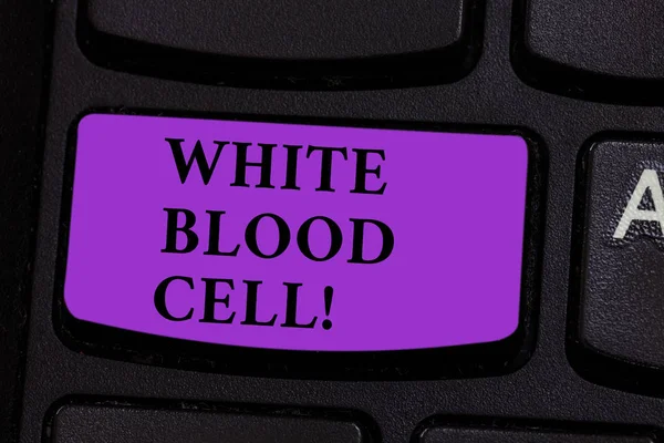 文字书写文本白血细胞。商业理念为白细胞负责保护身体免受感染键盘键意图创建计算机消息按键盘的想法. — 图库照片