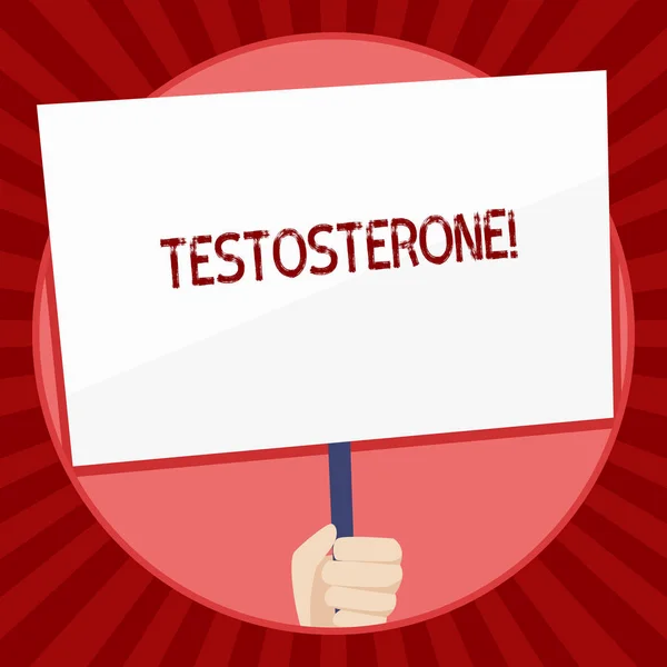 Handwriting text Testosterone. Concept meaning Male hormones development and stimulation sports substance Hand Holding Blank White Placard Supported by Handle for Social Awareness.