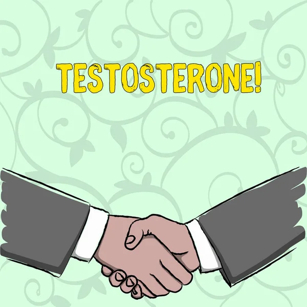 Escrever texto escrito Testosterona. Conceito significado Hormônios masculinos desenvolvimento e estimulação esportes substância Empresários tremendo mãos firmemente como Gesto Forma de saudação e acordo . — Fotografia de Stock