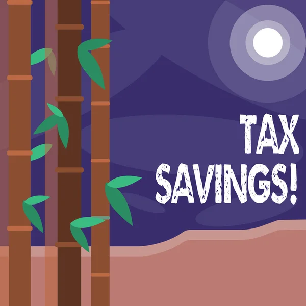 Word writing text Tax Savings. Business concept for means that you pay reduced amount of taxes than normal Colorful Sets of Leafy Bamboo on Left Side and Moon or Sun with Round Beam.