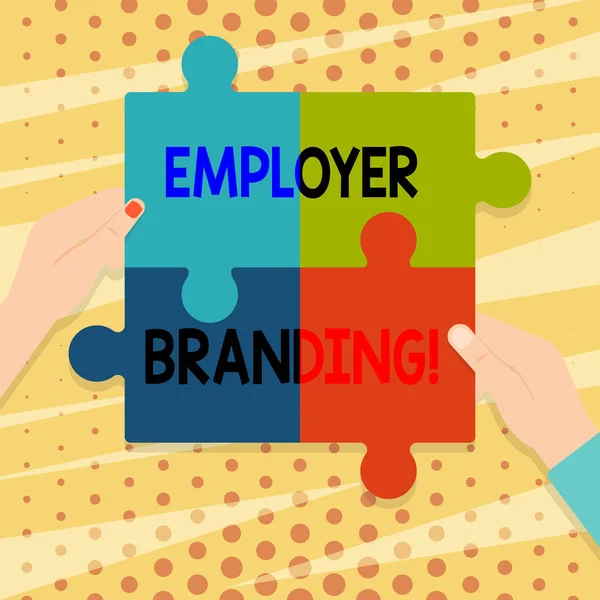 Handwriting text Employer Branding. Concept meaning promoting company employer choice to desired target group Four Blank Multi Color Jigsaw Puzzle Tile Pieces Put Together by Human Hands.