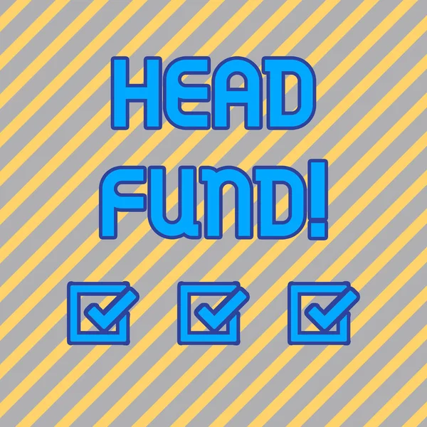 Κείμενο πινακίδα που δείχνει το κεφάλι του Ταμείου. Εννοιολογική φωτογραφία πισίνες κεφαλαίου από διαπιστευμένο επενδυτές ή θεσμική απρόσκοπτη διαγώνια μοτίβο από χλωμό χρυσό και ασημί ρίγες για επίσημο θέμα. — Φωτογραφία Αρχείου