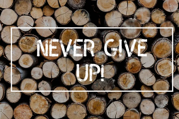 Conceptual hand writing showing Never Give Up. Business photo text Be persistent motivate yourself succeed never look back Wooden background vintage wood wild message ideas thoughts. — Stock Photo, Image