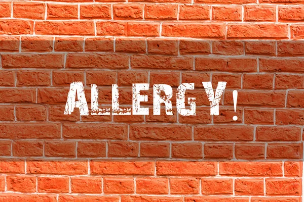 Writing note showing Allergy. Business photo showcasing damages in immunity due to hypersensitivity get it diagnised Brick Wall art like Graffiti motivational call written on the wall.