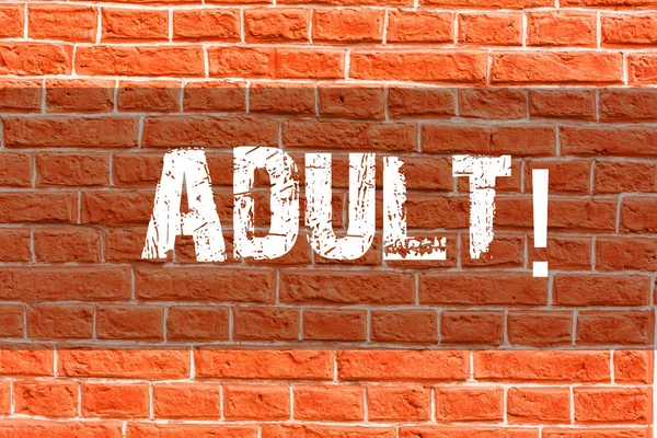 Writing note showing Adult. Business photo showcasing Finding ways to educate a mature son, daughter Brick Wall art like Graffiti motivational call written on the wall.