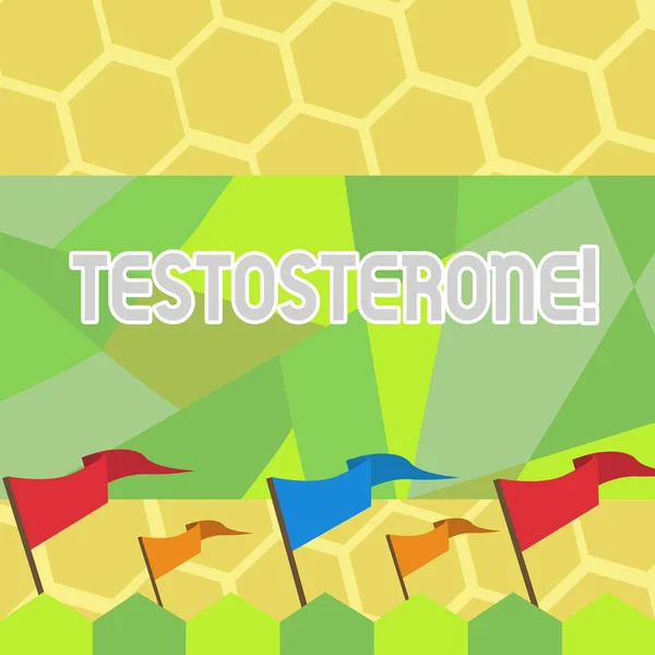 Text sign showing Testosterone. Conceptual photo Male hormones development and stimulation sports substance Blank Solid Colorful Pennant Streamer Flag on Stick Mounted on Picket Fence.