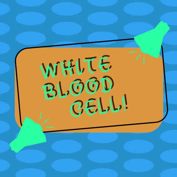 Word writing text White Blood Cell. Business concept for Leucocytes in charge of protect body from infections Two Megaphone with Sound icon on Blank Color Outlined Rectangular Shape.