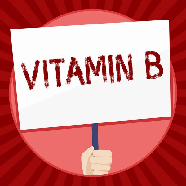 Handwriting text Vitamin B. Concept meaning Highly important sources and benefits of nutriments folate Hand Holding Blank White Placard Supported by Handle for Social Awareness. — Stock Photo, Image