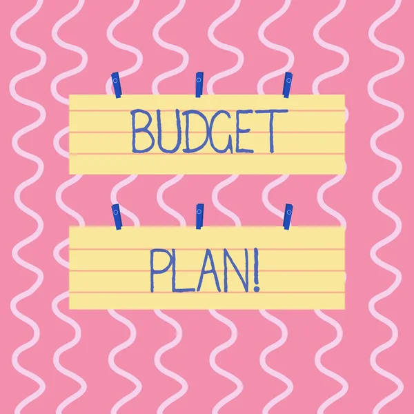 Text sign showing Budget Plan. Conceptual photo estimate of income and expenditure for set period of time Two Color Blank Strip Size Lined Paper Sheet Hanging Using Blue Clothespin. — Stock Photo, Image