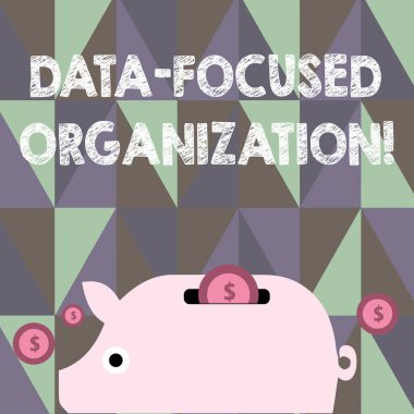 Veri odaklı organizasyon gösteren metin işareti. Kavramsal fotoğraf yakalama ve onların bilgi değerini güçlendirmek renkli Piggy para Bankası ve paraları ile dolar para birimi Işareti yarık.