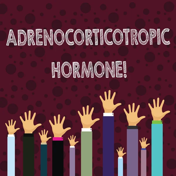 Note d'écriture montrant l'hormone adrénocorticotrope. Photo d'affaires montrant l'hormone sécrétée par le cortex hypophysaire Hommes d'affaires mains levant au-dessus de la tête, la paume devant . — Photo