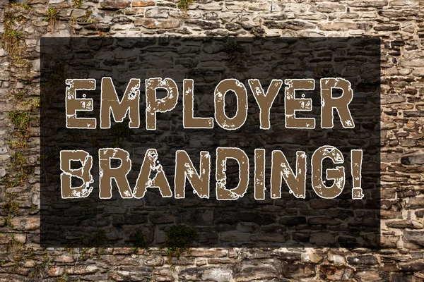 Handwriting text writing Employer Branding. Concept meaning process promoting company of choice desired target group Brick Wall art like Graffiti motivational call written on the wall.