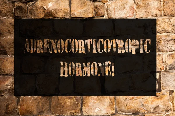 Escritura manual conceptual que muestra la hormona adrenocorticotrópica. negocio foto texto hormona secretada por hipófisis glándula corteza ladrillo pared arte como graffiti motivacional llamada escrita en la pared . — Foto de Stock