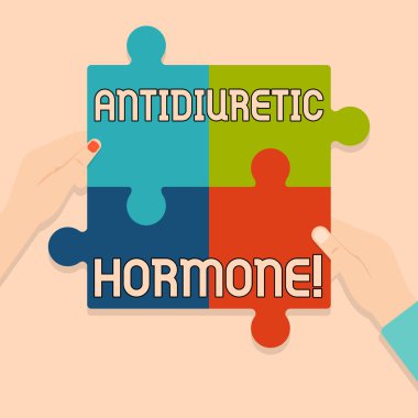 Antidiüretik hormon gösteren notu yazma. Hipofiz bezi tarafından serbest olan peptit molekül vitrinde iş fotoğrafı çok renkli bilmecenin parçalar ınsan eller tarafından birlikte koymak.