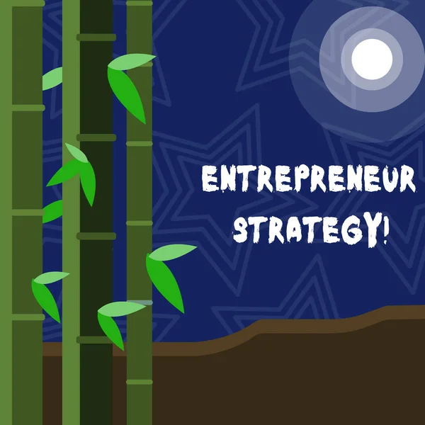 Znak tekstowy przedstawiający strategię przedsiębiorcy. Koncepcyjne zdjęcie ustanowić i utrzymać przewagę konkurencyjną kolorowe zestawy liściaste bambusa po lewej stronie i księżyc lub słońce z okrągłym wiązką. — Zdjęcie stockowe