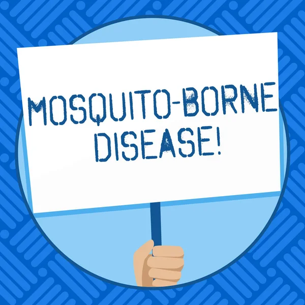 Text sign showing Mosquito Borne Disease. Conceptual photo illnesses caused parasites transmitted by mosquitoes Hand Holding Blank White Placard Supported by Handle for Social Awareness.