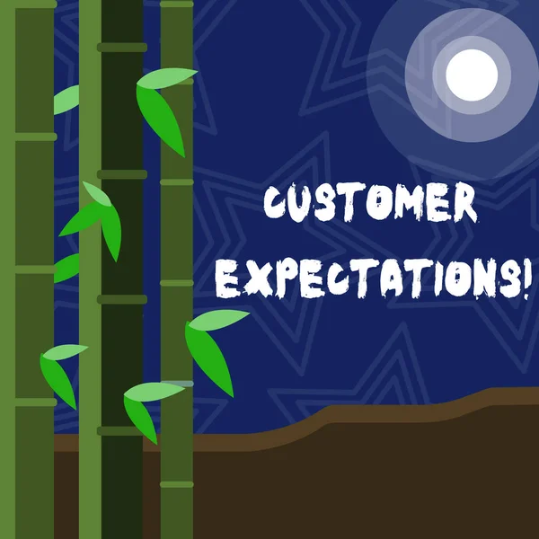 Text sign showing Customer Expectations. Conceptual photo Perceivedvalue clients seek from the buying of a good Colorful Sets of Leafy Bamboo on Left Side and Moon or Sun with Round Beam.